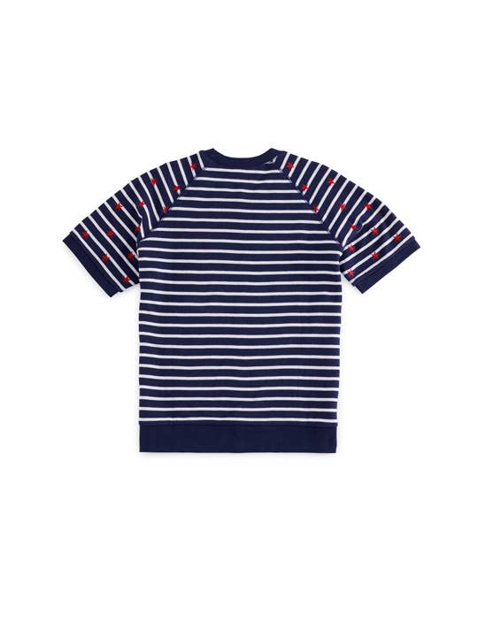 Starlight Stripe Lightweight Short Sleeve Sweater - The Pink Pineapple 850