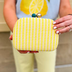 Sunbeam Woven Mini Crossbody - The Pink Pineapple 850