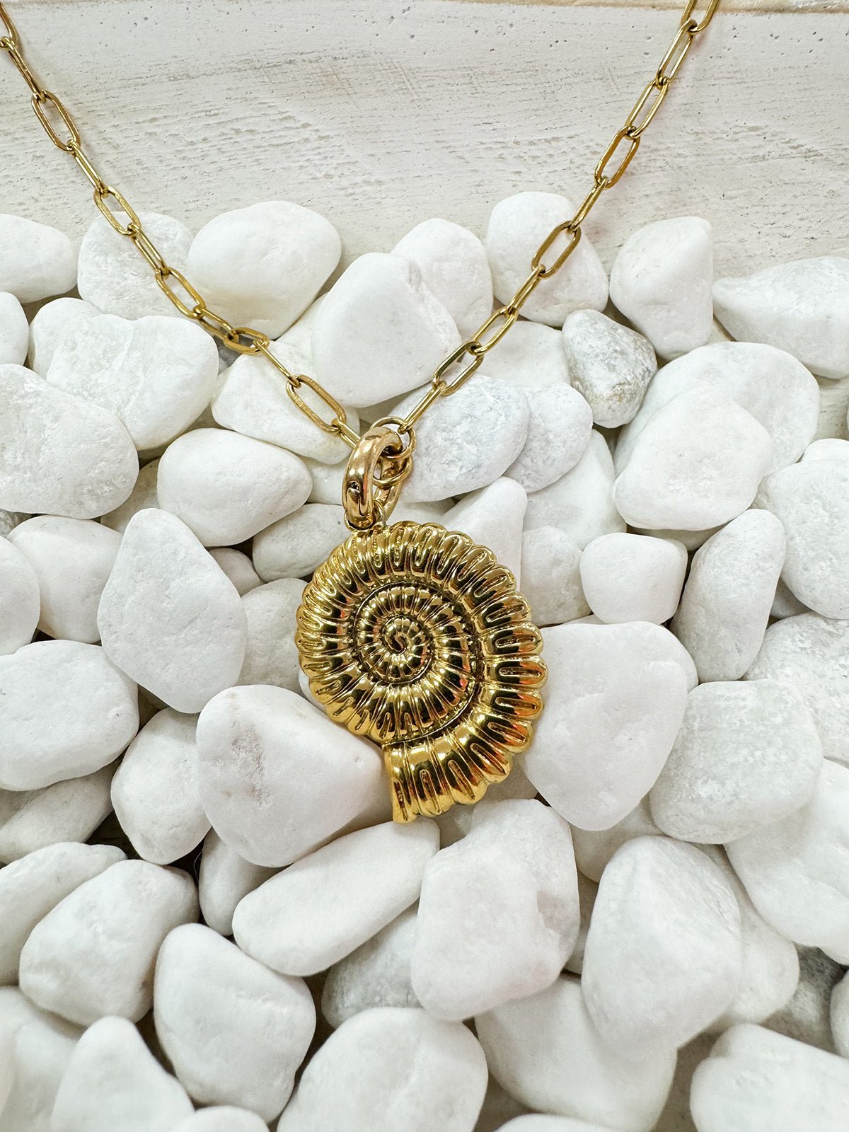 Sundial Shell Charm - The Pink Pineapple 850