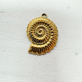 Sundial Shell Charm - The Pink Pineapple 850