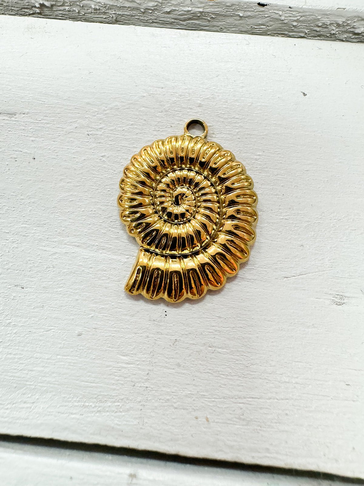 Sundial Shell Charm - The Pink Pineapple 850