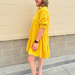 Sweet Terrain Cotton Collared Mini Dress - The Pink Pineapple 850