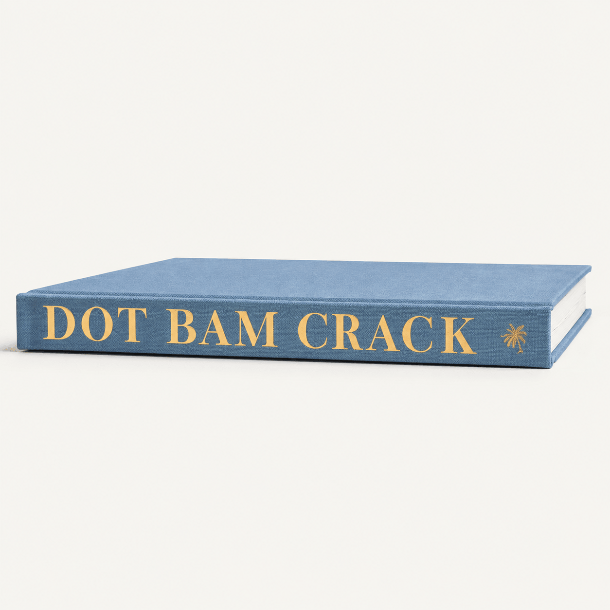 The Blank Book - Dot Bam Crack in Steel Blue - The Pink Pineapple 850