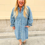 The Willow Lane Denim Dress - The Pink Pineapple 850