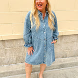 The Willow Lane Denim Dress - The Pink Pineapple 850