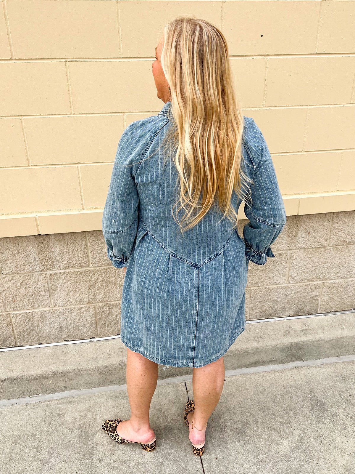 The Willow Lane Denim Dress - The Pink Pineapple 850