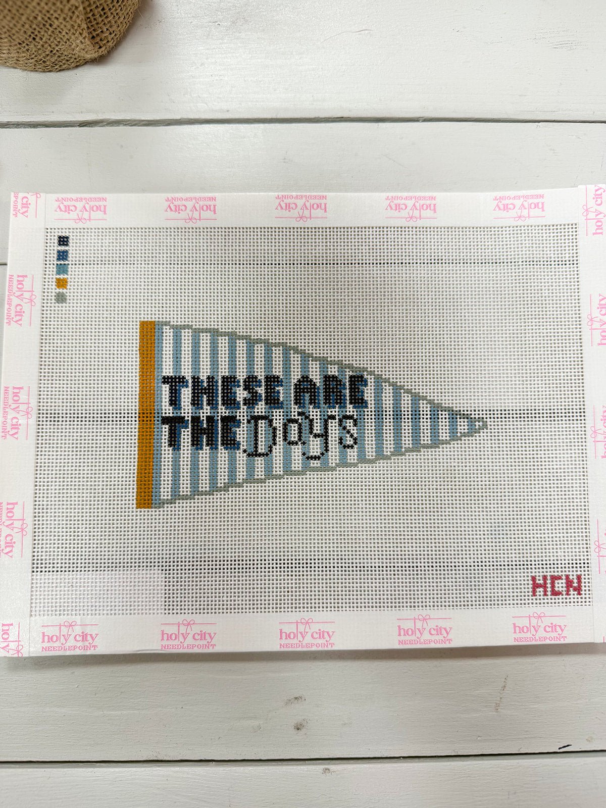 These Are the Days Canvas - The Pink Pineapple 850