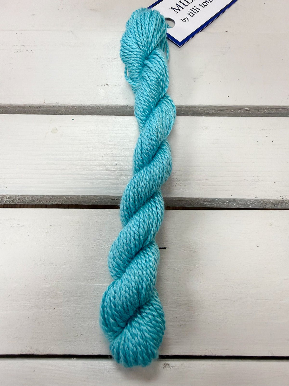 [Tilli Tomas] Milan Thread Skein in Nile - The Pink Pineapple 850