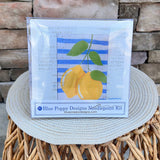 Two Lemons on Blue Stripes Needlepoint Kit - The Pink Pineapple 850