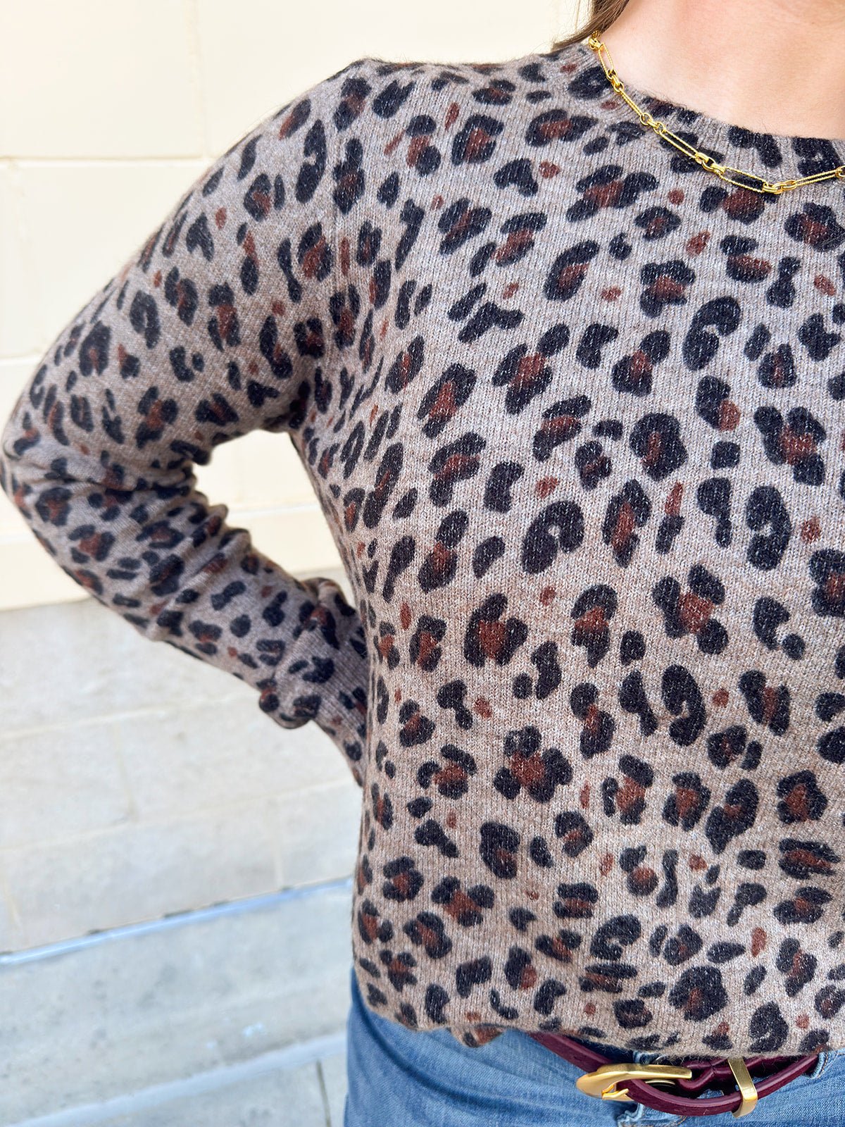 Wild Whisper Leopard Crew Neck Sweater - The Pink Pineapple 850
