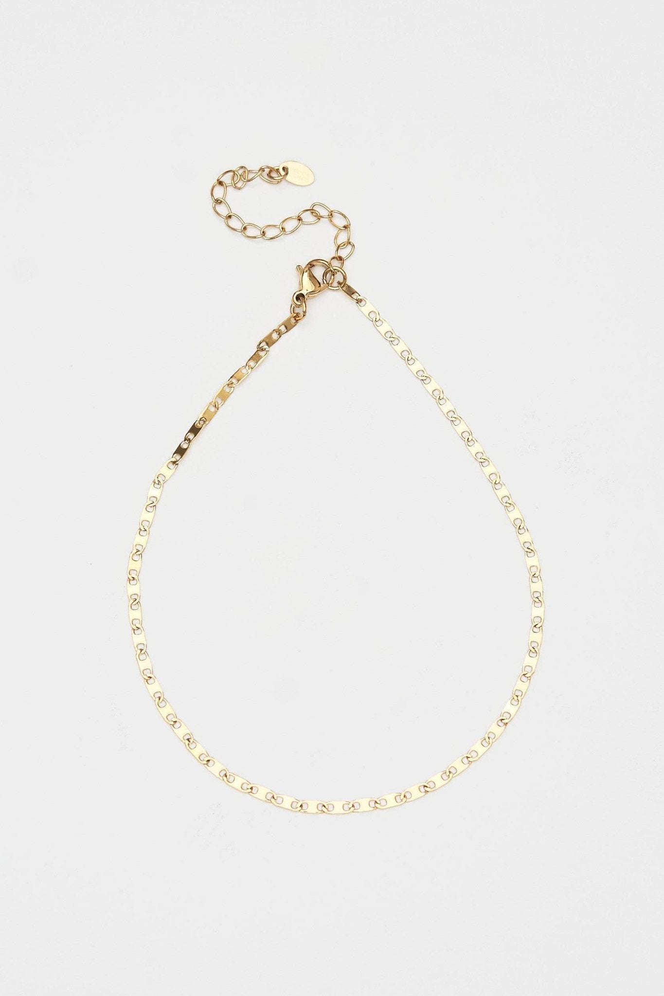 [Brenda Grands] Chain Link Anklet - The Pink Pineapple 850