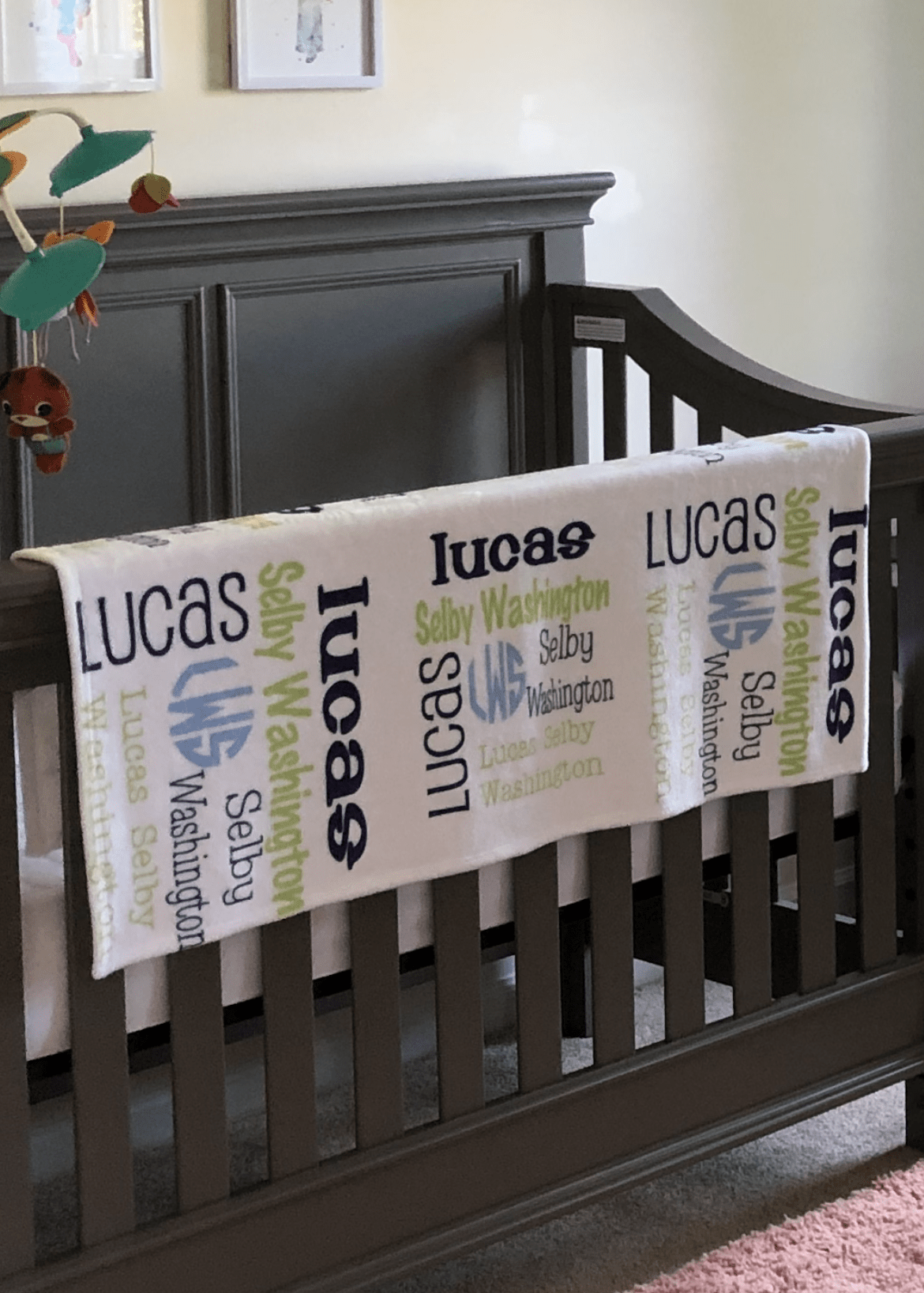 Personalized Minky Baby Blanket - The Pink Pineapple 850