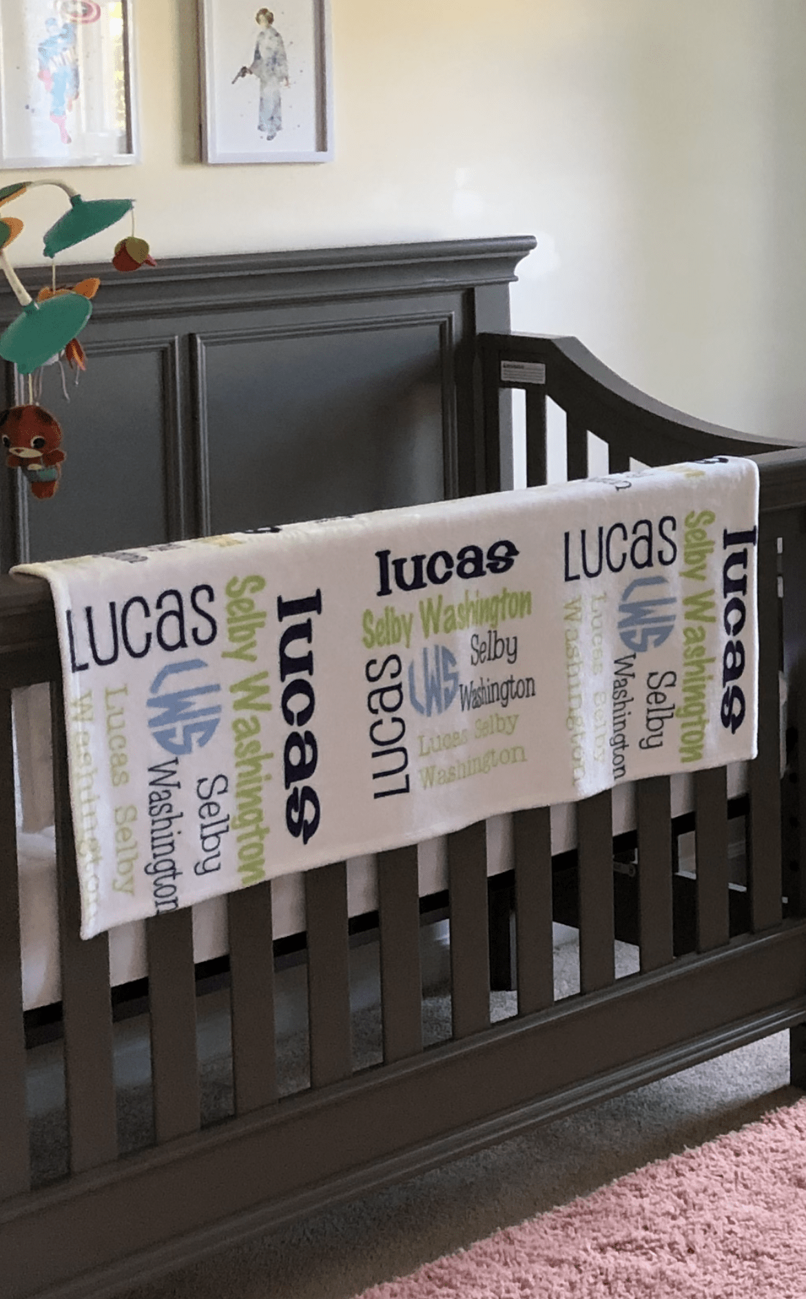 Personalized Minky Baby Blanket - The Pink Pineapple 850